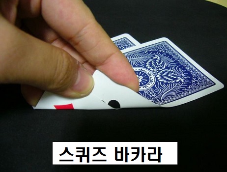 스퀴즈바카라-바카라사이트-카지노사이트랭크